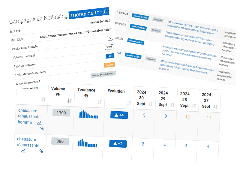 Netlinking.fr Avis : Expertise et Satisfaction en SEO